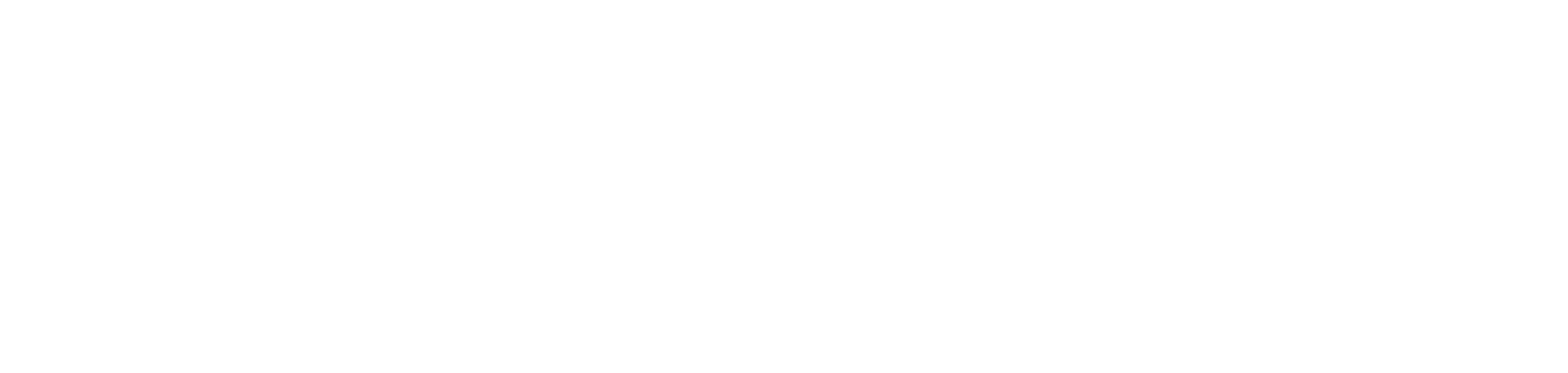 SolveClean